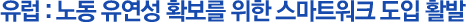 유럽 : 노동 유연성 확보를 위한 스마트워크 도입 활발