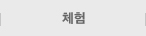 체험